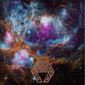 Astronotes