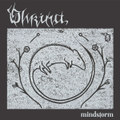 Mindstorm