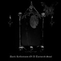 Dark Reflections Of A Tortured Soul