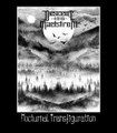 Nocturnal Transfiguration