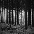 Nocturnal Past