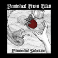 Primordial Salvation