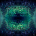 Awareness
