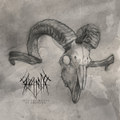 Into The Woods of Oblivion (Acoustic EP)