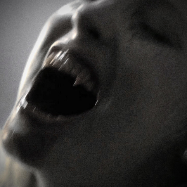 TheHiddenFaces