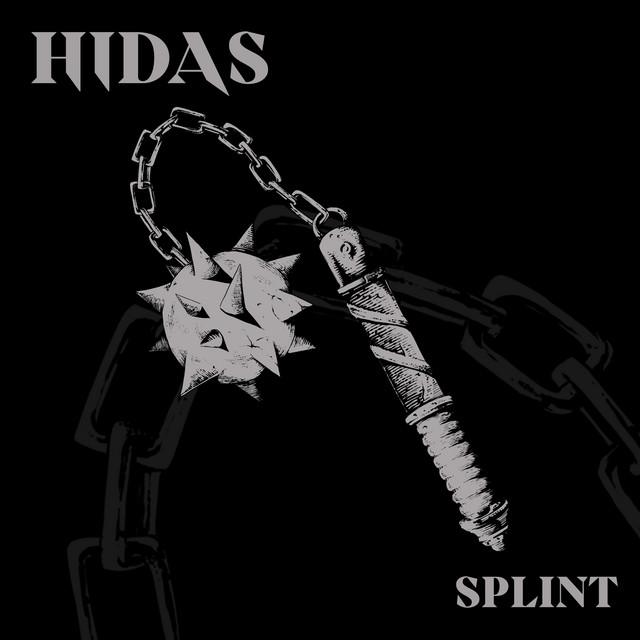 Splint