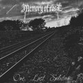 One Last Solution (Demo)