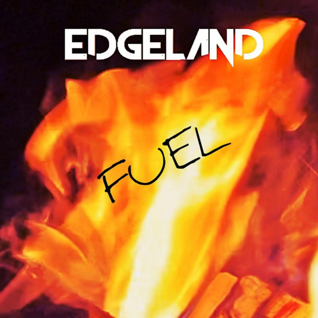 Fuel