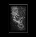 Kolp / Leiru "split"