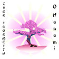 O Hanami