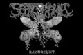 Razorcunt (single)