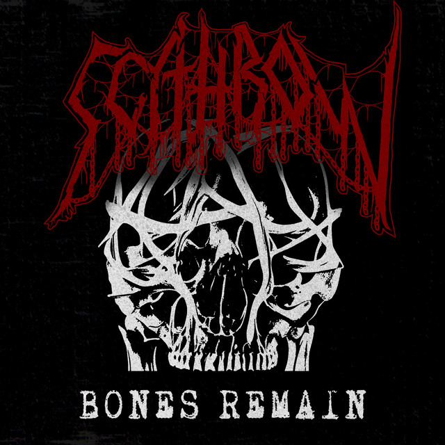 Bones Remain