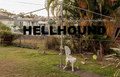 HELLHOUND EP #1