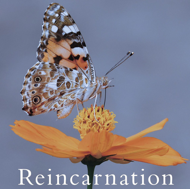 Reincarnation 【通常盤A】