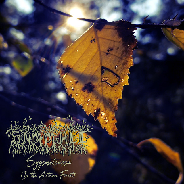 Syysmetsässä (In the Autumn Forest)