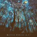 Battle Furies 2.017