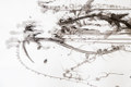 wall_