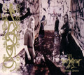 Yersinia pestis