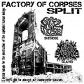 Factory of corpses - split with SHITNOSE