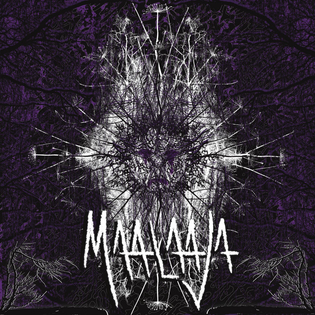 Maalaaja