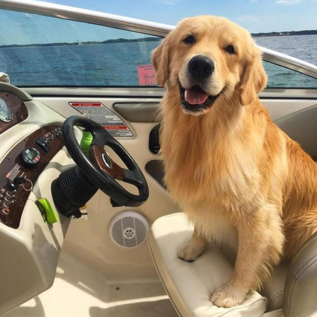 boat (cmon)
