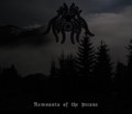 Remnants of the Arcane (Split w/ FREMDREICH)