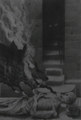 Coltsblood / Crypt Lurker Split