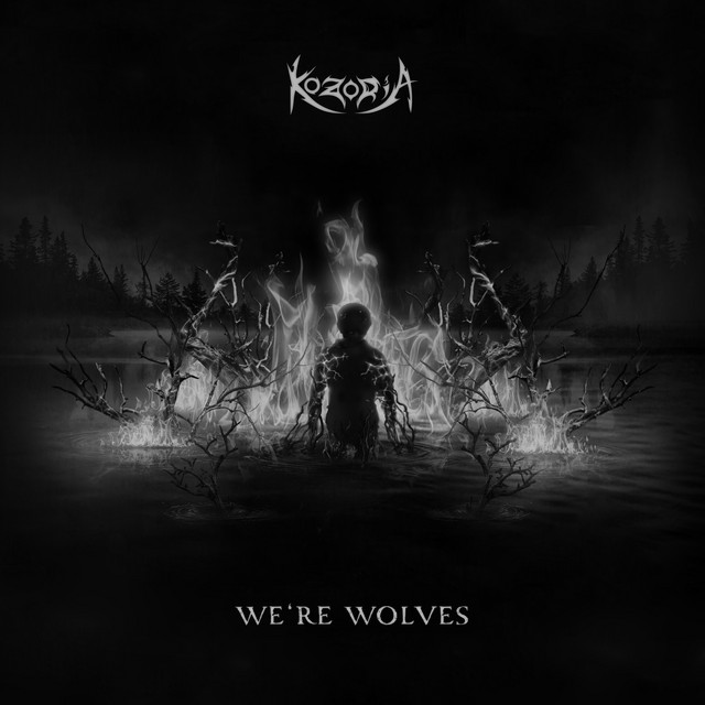 We're Wolves