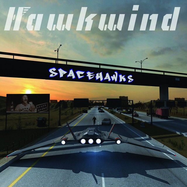 Spacehawks