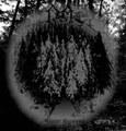 Winter Requiems