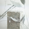 Synthesised Organics Volume 1