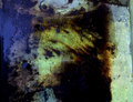 War's Rust