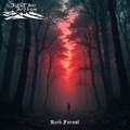 Dark Forest