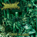 Instigate The Lunatics