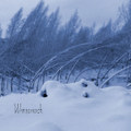 Winterreich