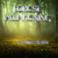 Forest Awakening