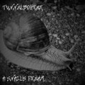A Snail`s Dream - 2022