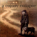 A Colony Collapse
