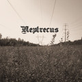 Neptrecus