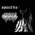 Spectre/Gorguina Split