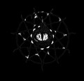 Birth from Darkness