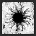 Melancholia (incl. Shadows Remix)