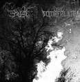split w/THE SOMBERLAIN
