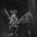 Dark Was The Night • Aultre Ne Veulx Estre