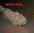 Kutyacska