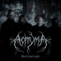 Hollowlight
