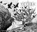 Like Crows for the Earth