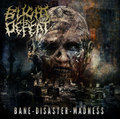Bane Disaster Madness
