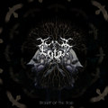 Weight of the Void