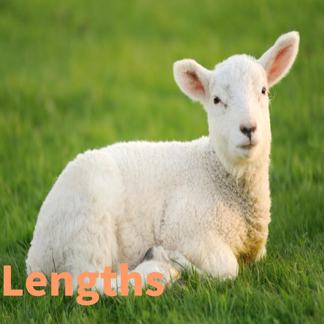 Lengths